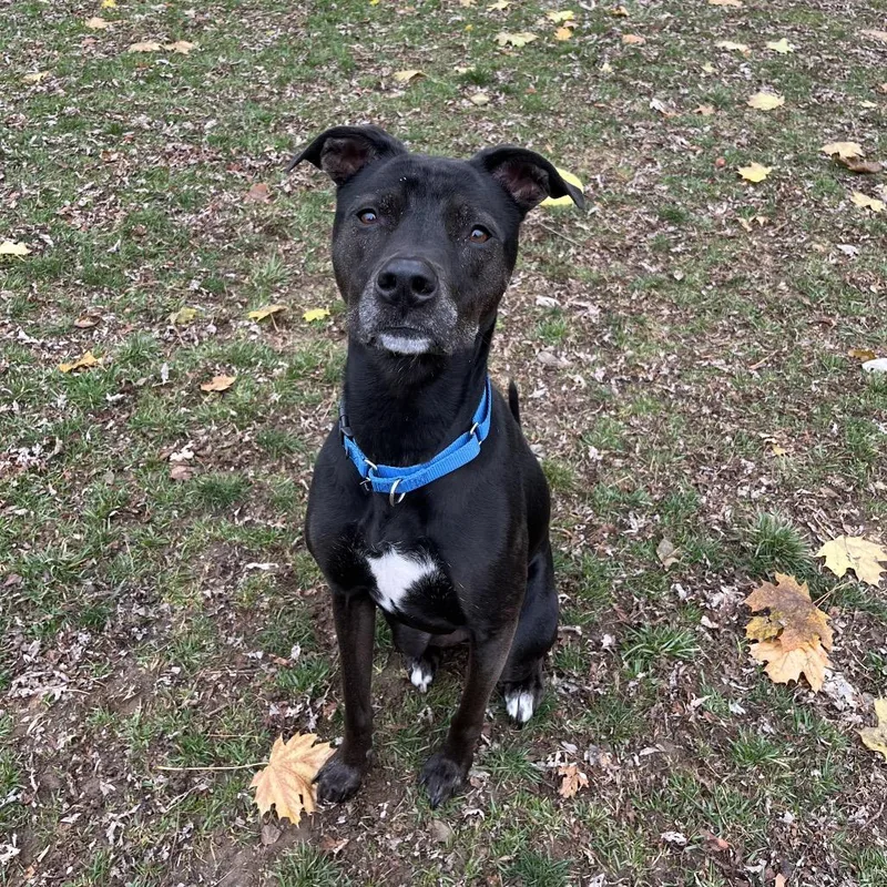 Little Foot thumbnail 4