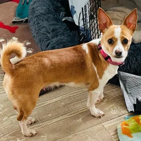 Thelma Chi thumbnail 2