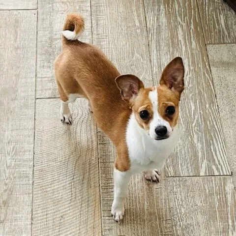 Louise Chi thumbnail 2