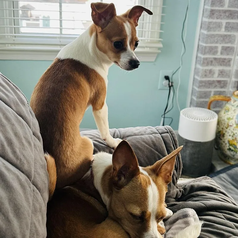 Louise Chi thumbnail 4