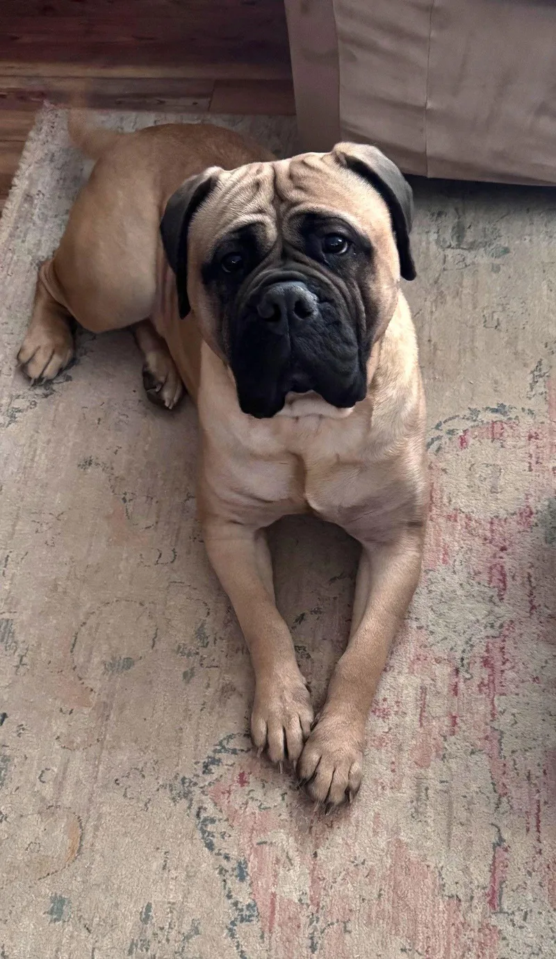 Elsa May thumbnail 2