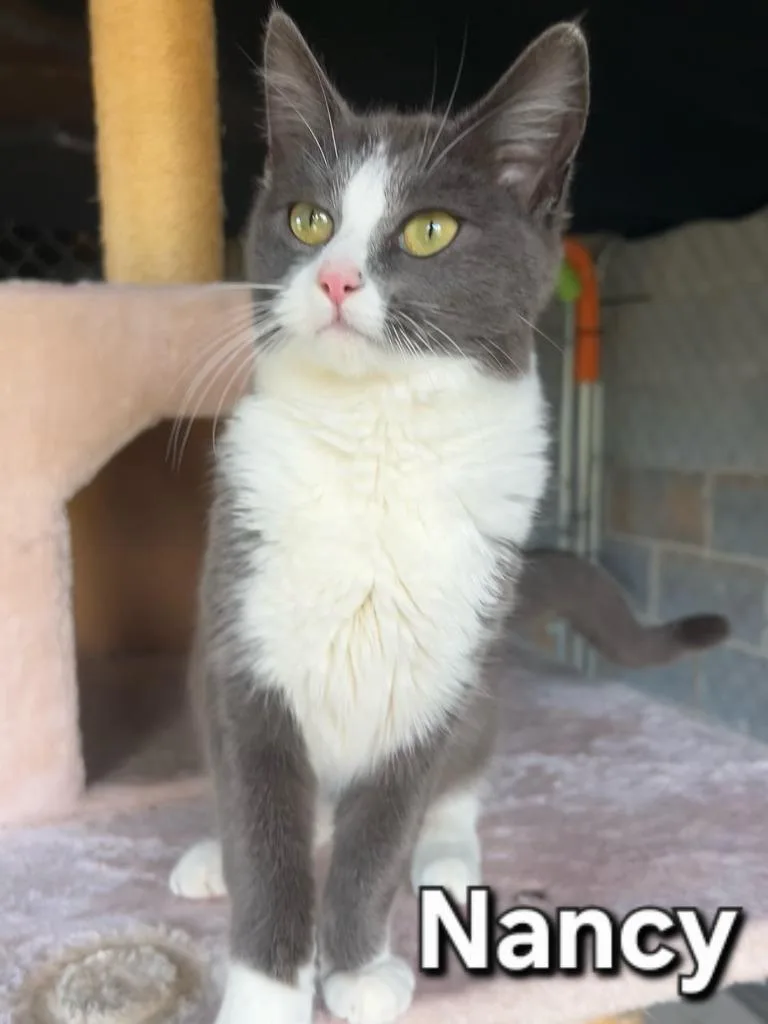 Nancy