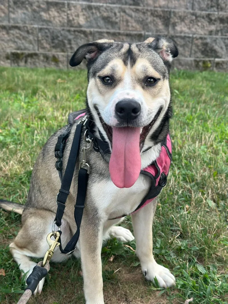 Nala Mushy Genius thumbnail 2