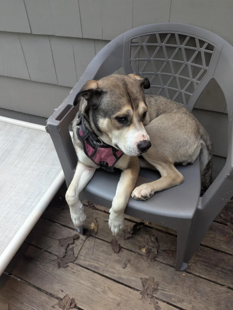 Nala Mushy Genius thumbnail 3