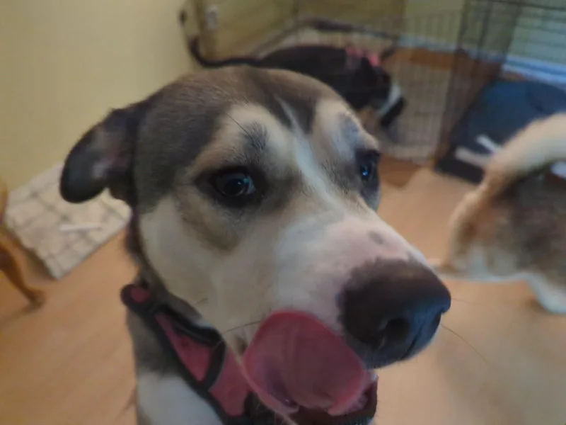 Nala Mushy Genius thumbnail 5