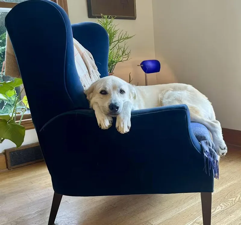 Mr Banks thumbnail 2