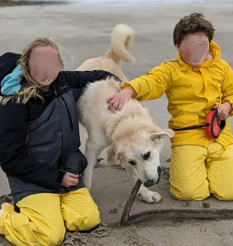 Mr Banks thumbnail 4