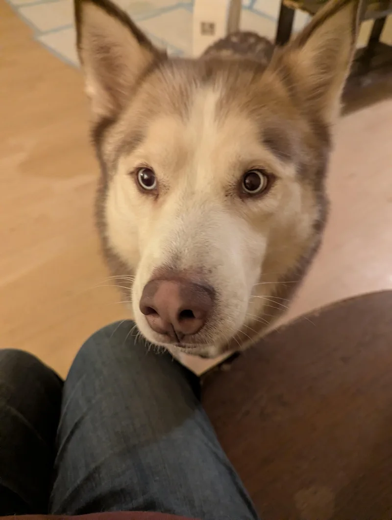 Zack Zen Master thumbnail 5