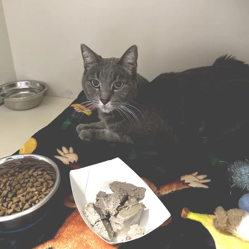 Briar Rose thumbnail 5