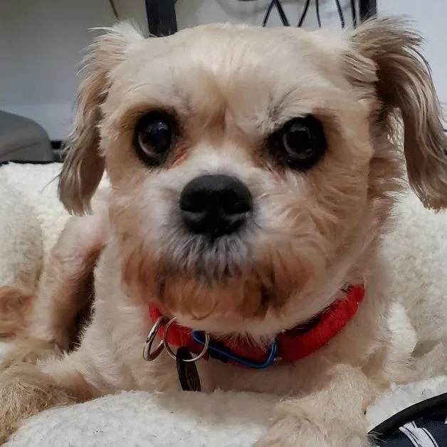 Colleen Allen thumbnail 2