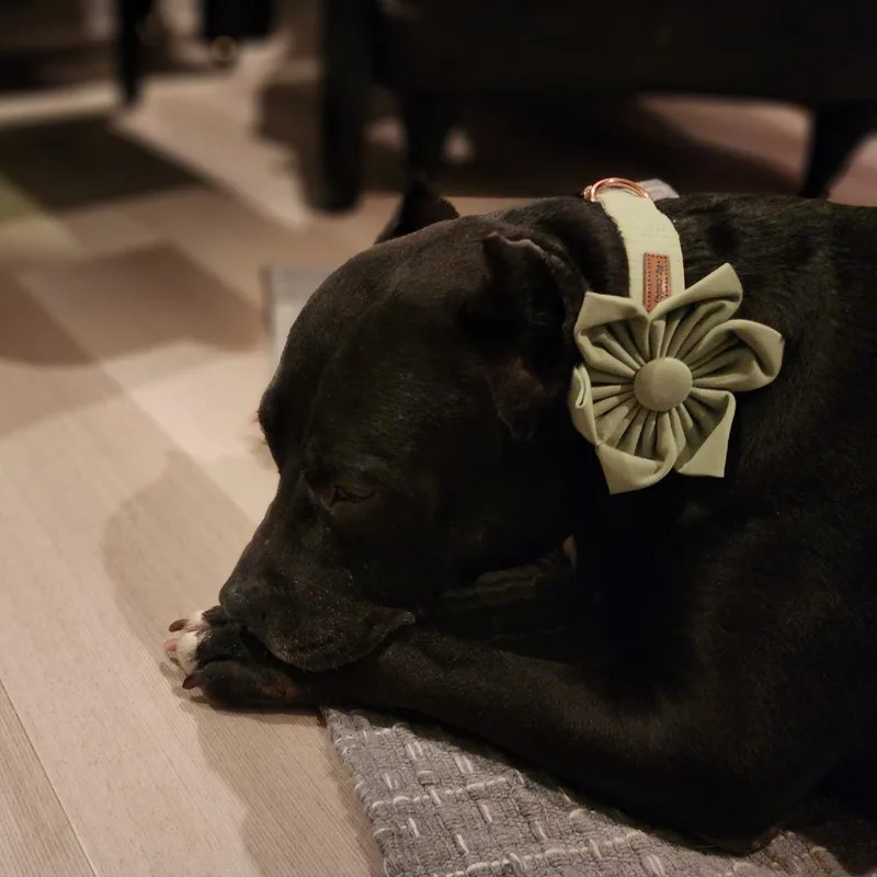 Merry Berry thumbnail 4