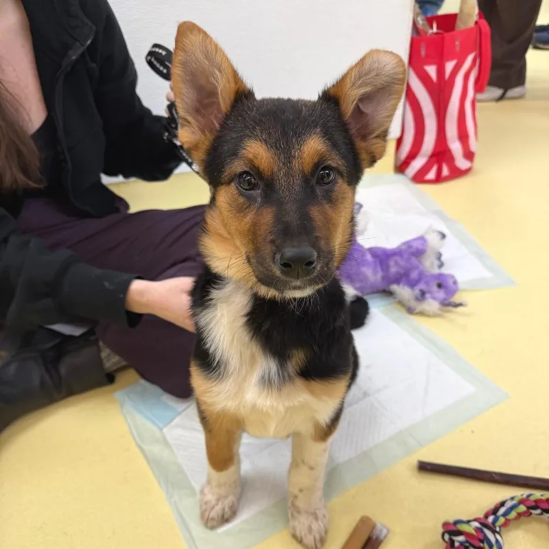 Sherri Ann thumbnail 2