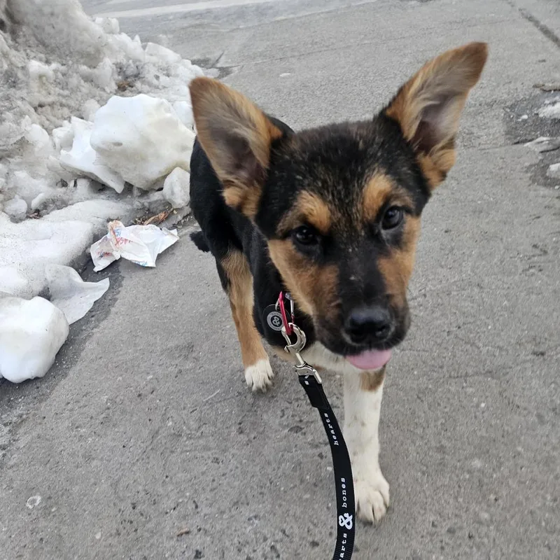 Sherri Ann thumbnail 3