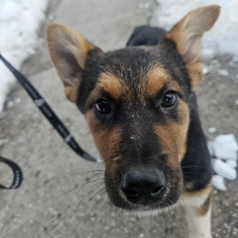 Sherri Ann thumbnail 4