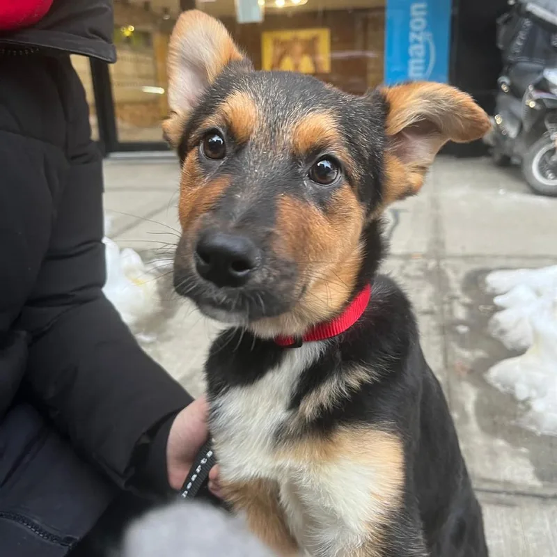 Sherri Ann thumbnail 5