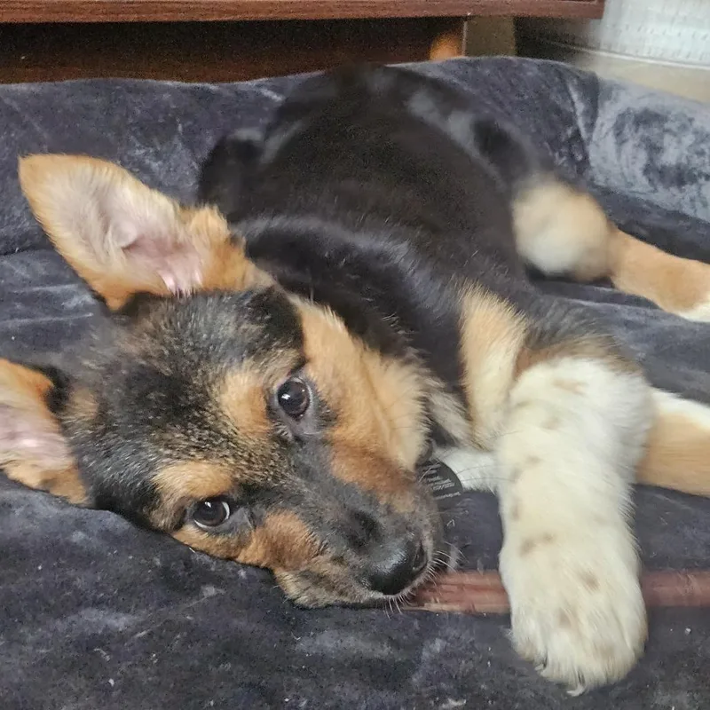 Sherri Ann thumbnail 6