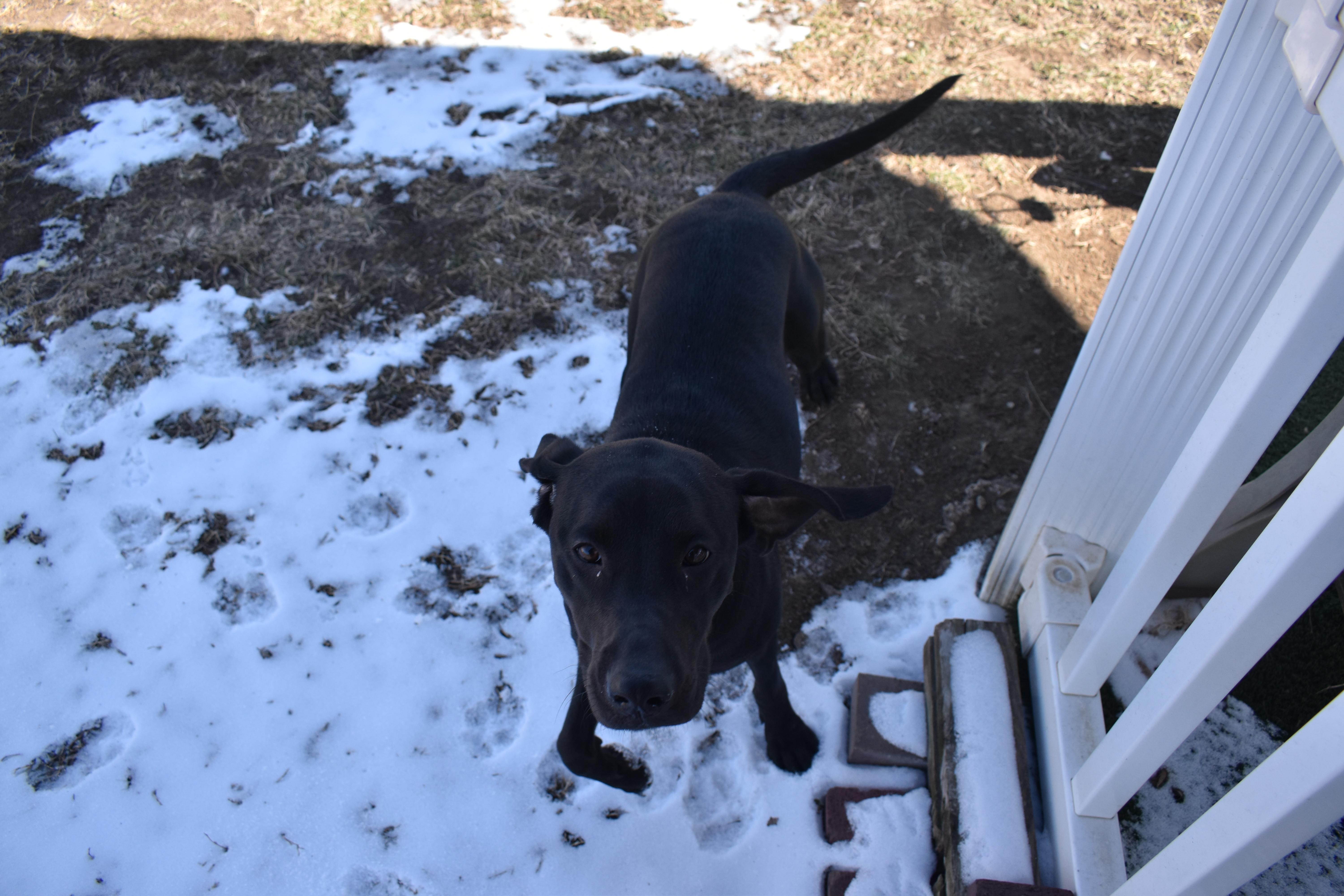 Shroomie thumbnail 4