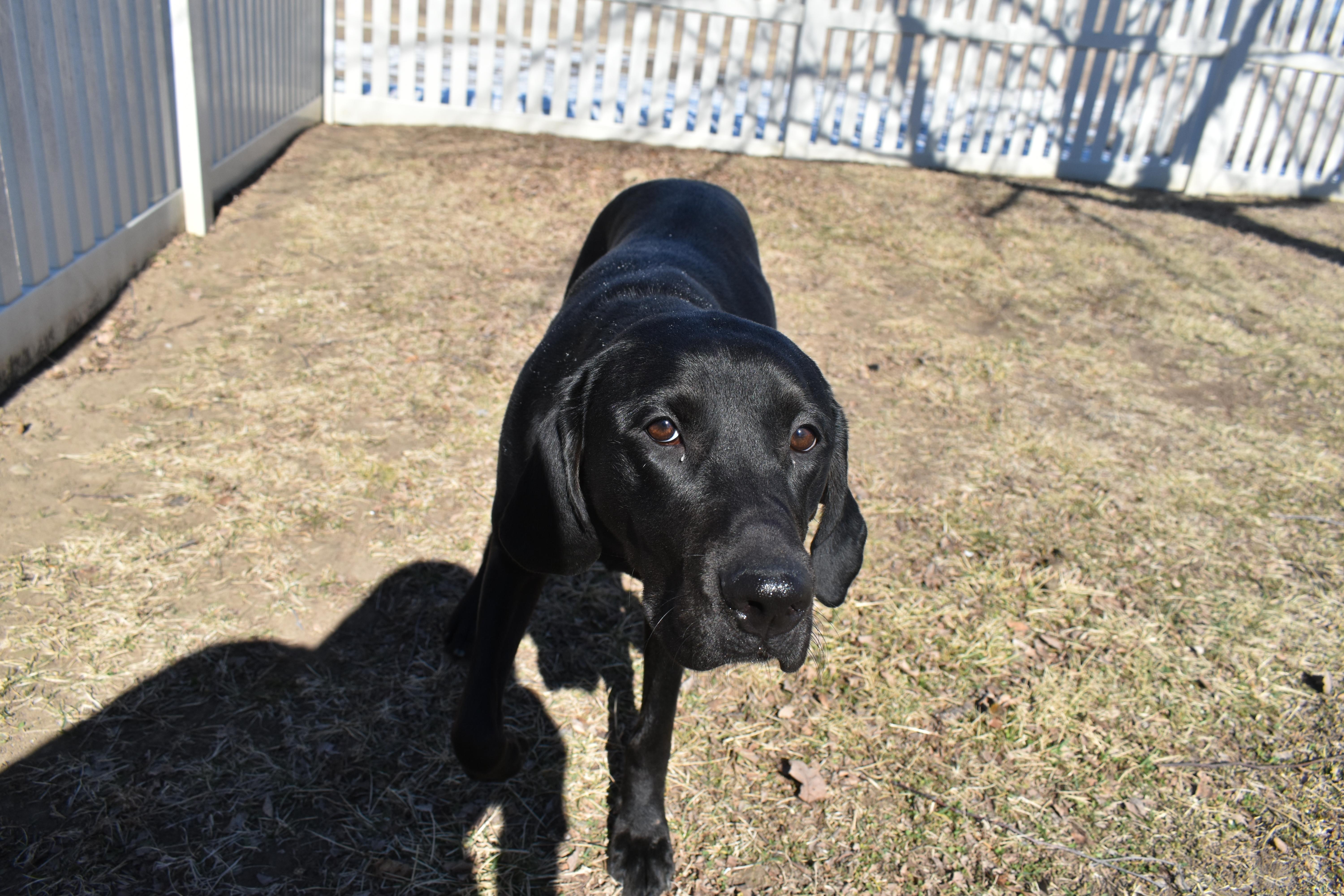 Shroomie thumbnail 5