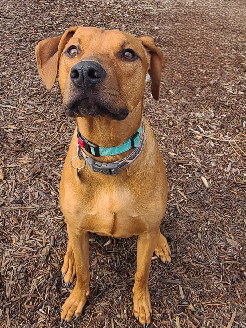 Barrettmeet  Me? thumbnail 2