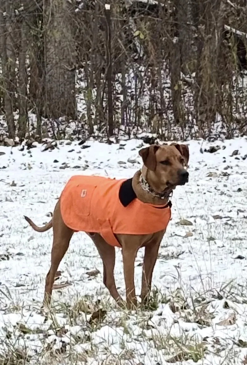 Barrettmeet  Me? thumbnail 3