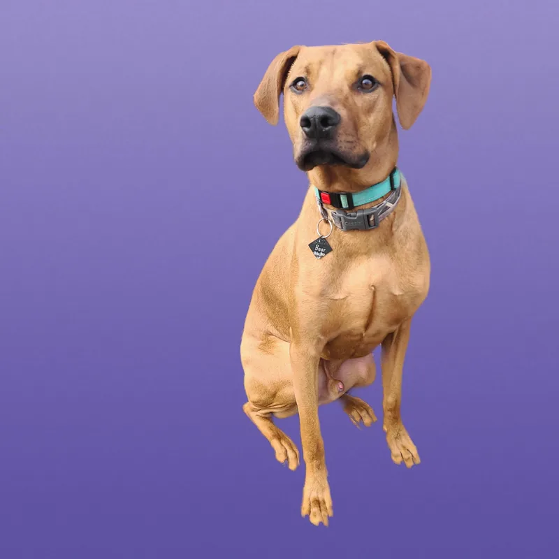 Barrettmeet  Me? thumbnail 4