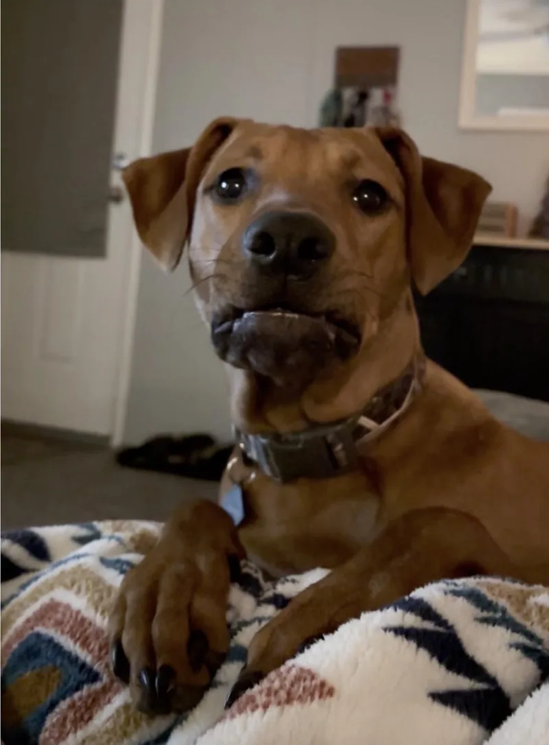 Barrettmeet  Me? thumbnail 5