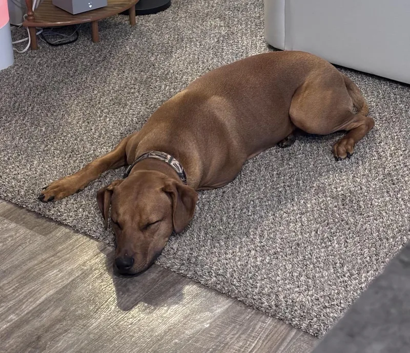 Barrettmeet  Me? thumbnail 6