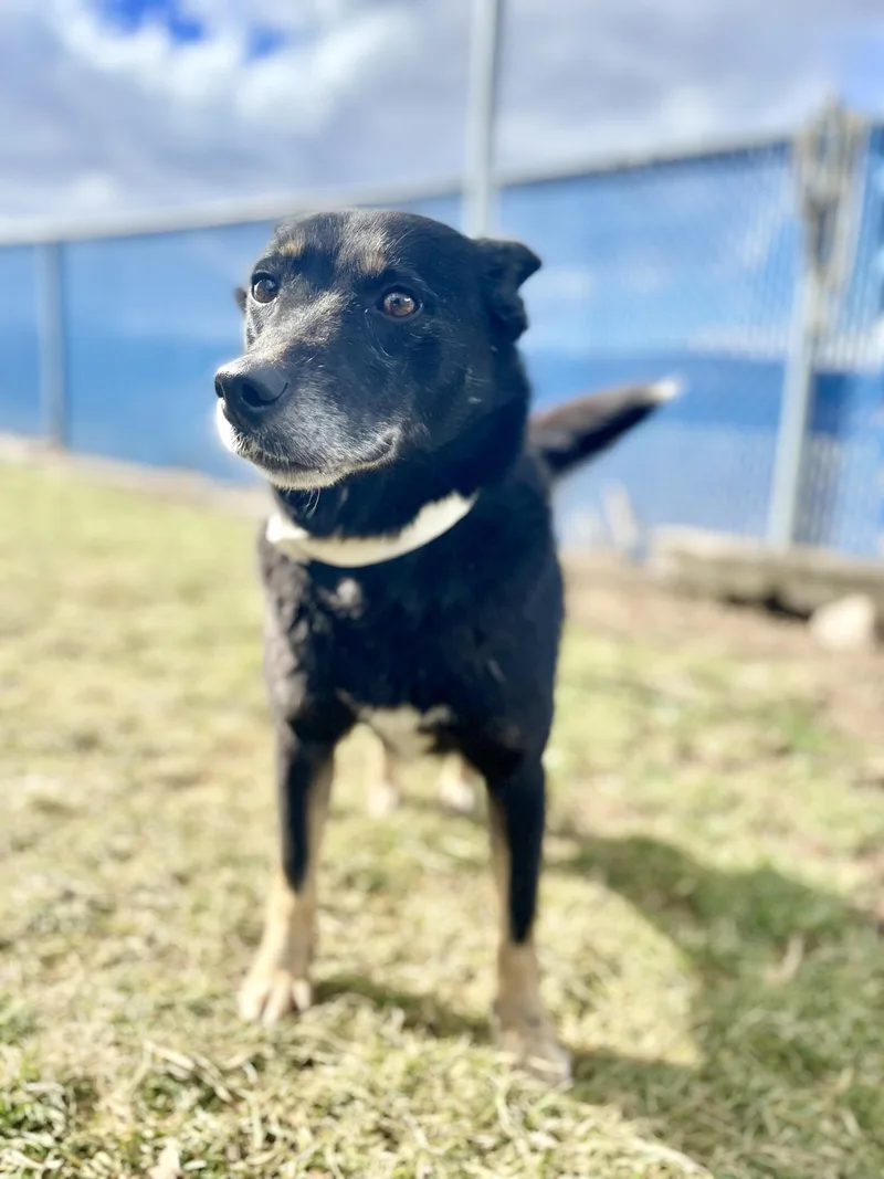 Bella Marie thumbnail 2