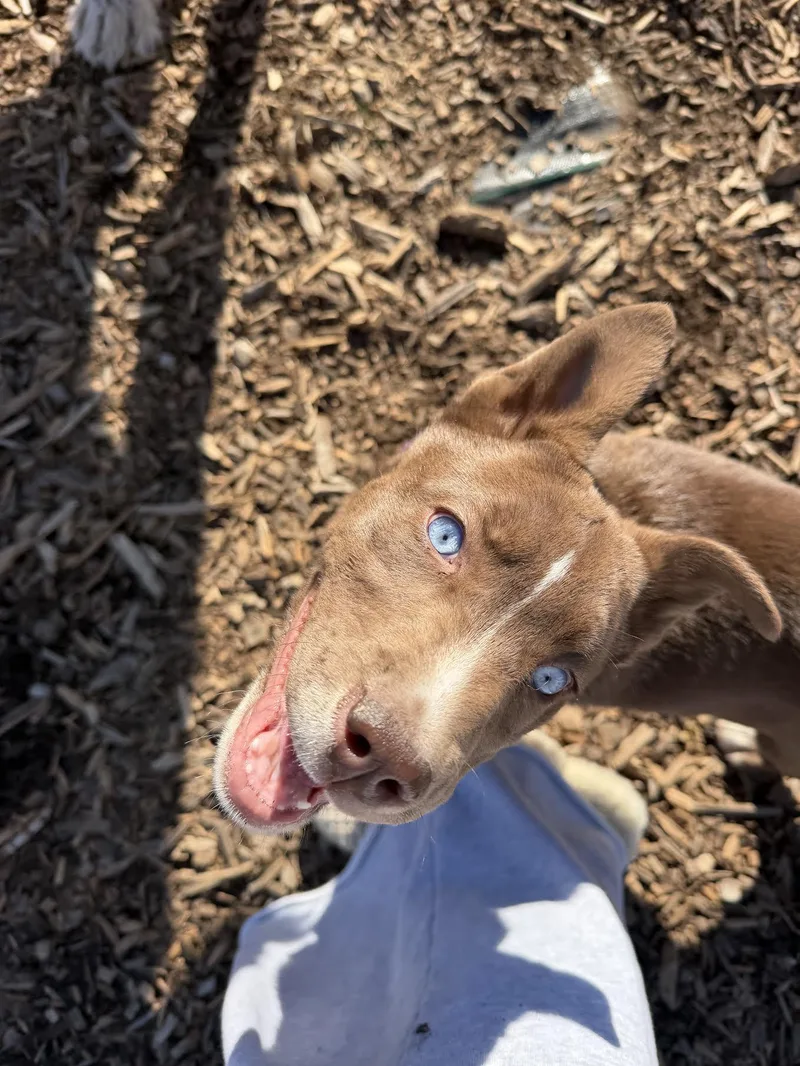 Bear Grylls thumbnail 2