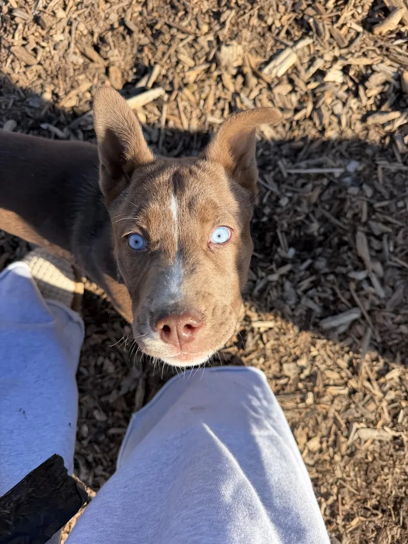 Bear Grylls thumbnail 3