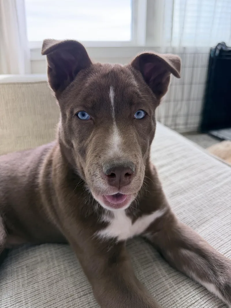 Bear Grylls thumbnail 4