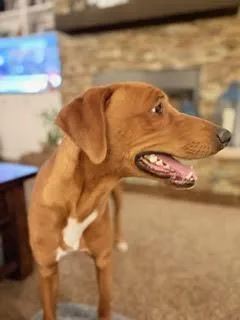 Benetton thumbnail 3