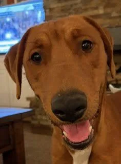 Benetton thumbnail 4