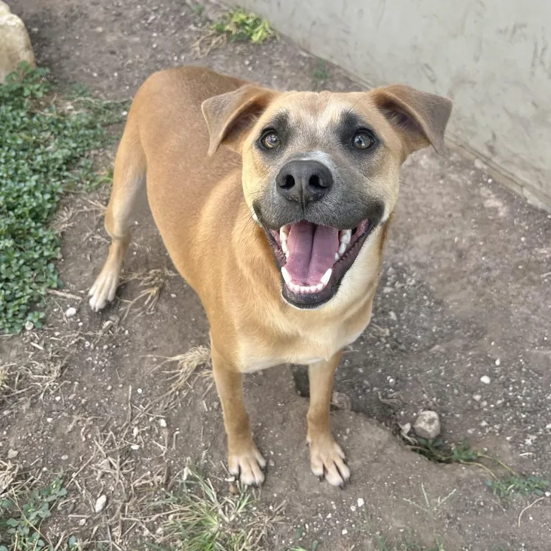 Hamlet thumbnail 4