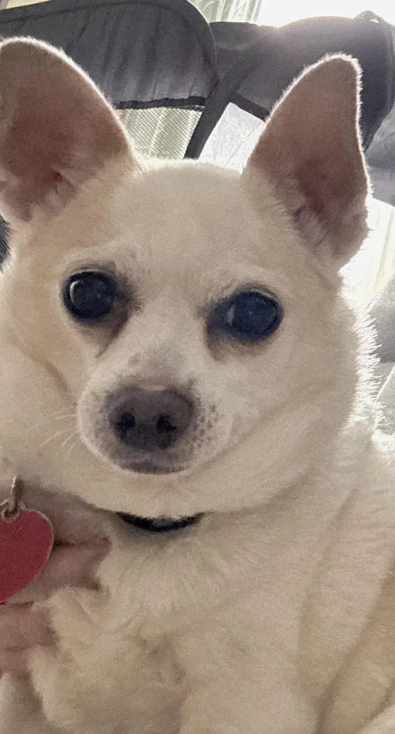 Mr. Juanderful! thumbnail 2