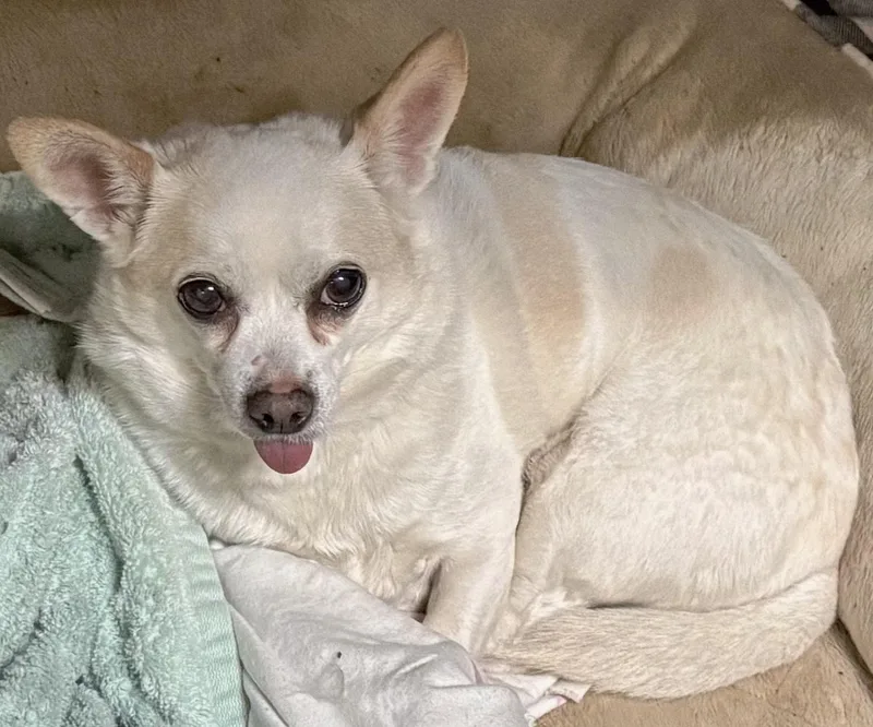 Mr. Juanderful! thumbnail 3