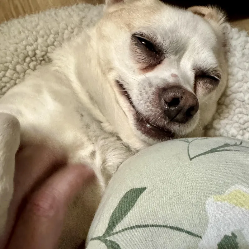 Mr. Juanderful! thumbnail 4