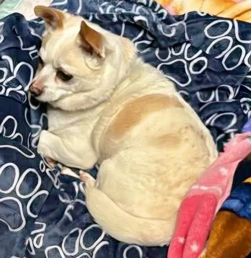 Mr. Juanderful! thumbnail 5