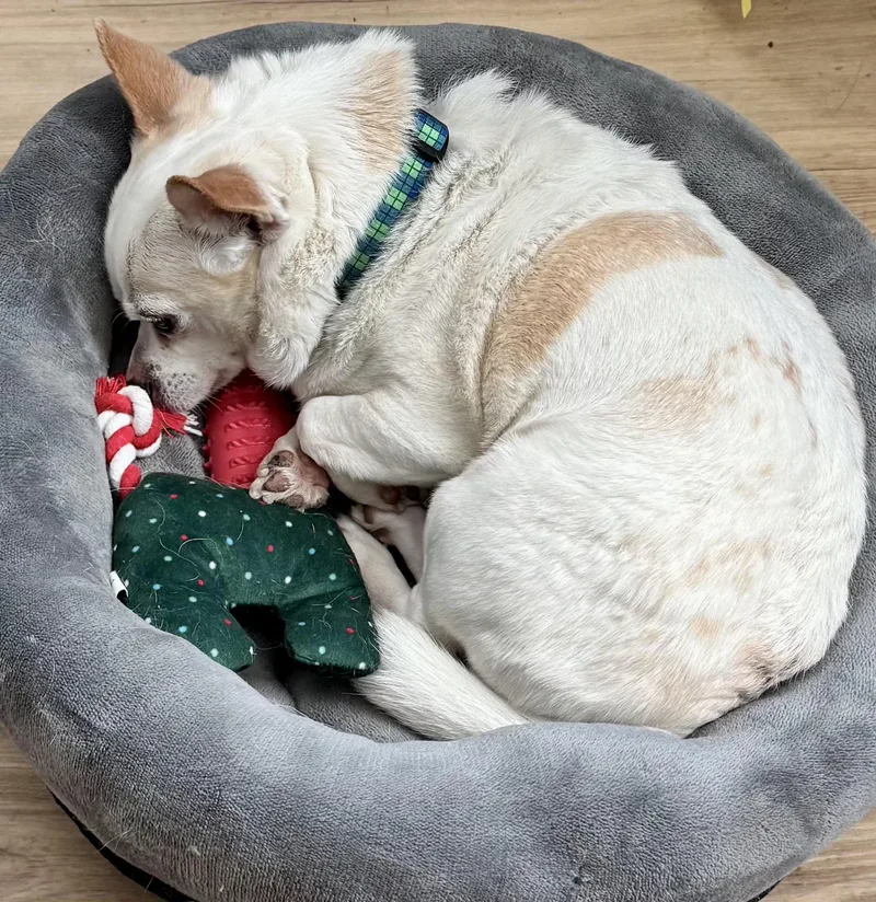 Mr. Juanderful! thumbnail 6