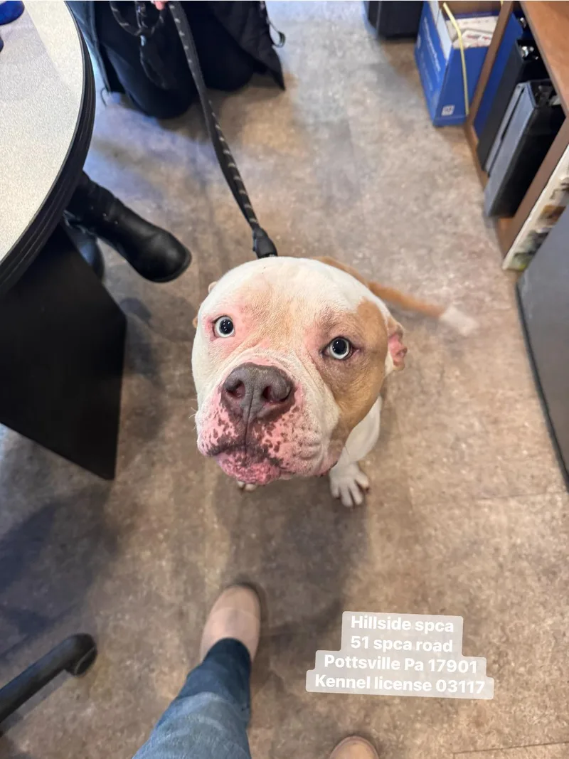 Mr Wilson thumbnail 2