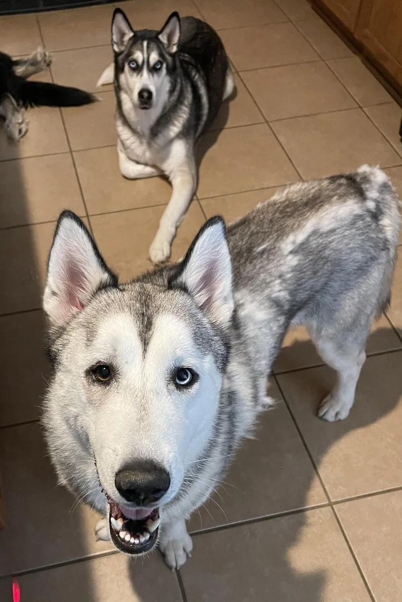 Soda Pop thumbnail 2