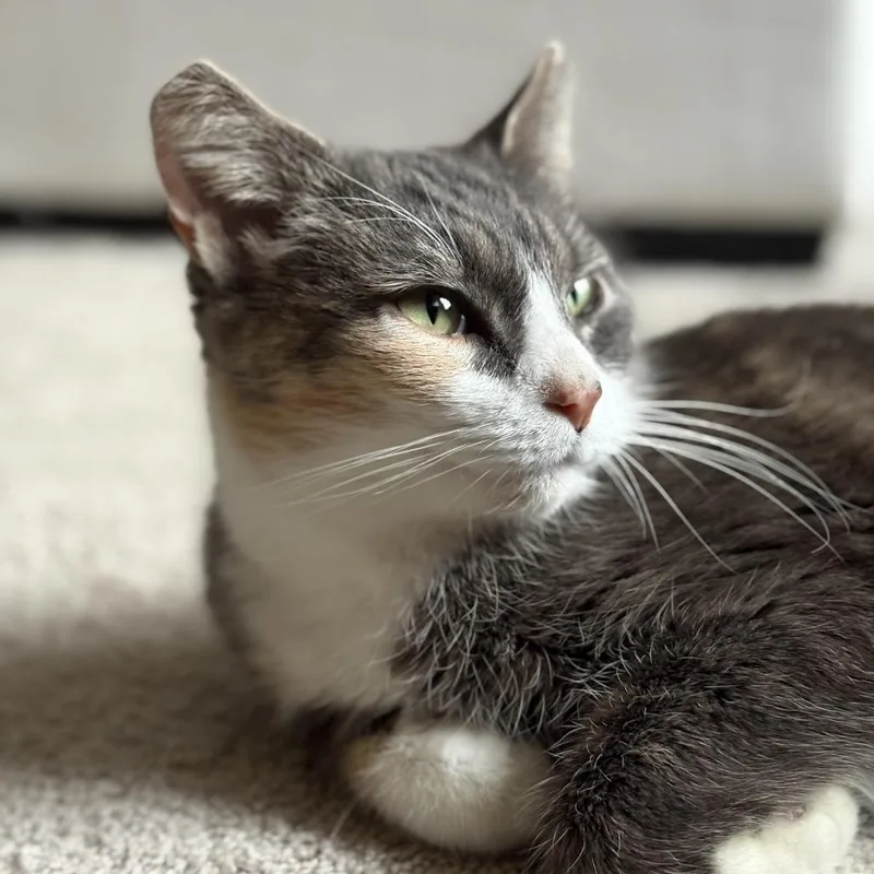 Margaret thumbnail 2