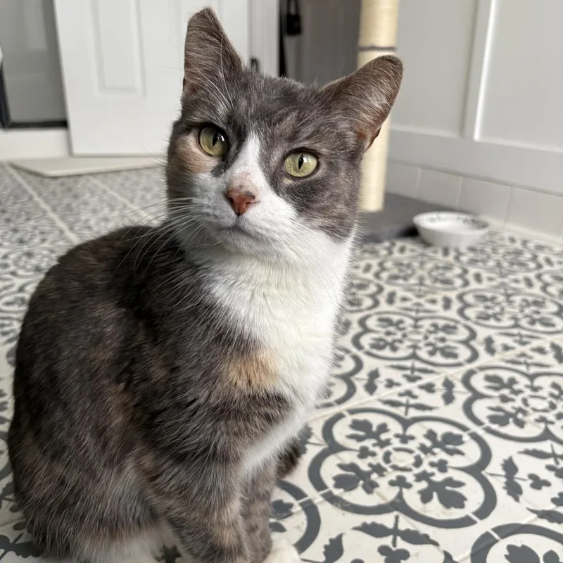 Margaret thumbnail 3