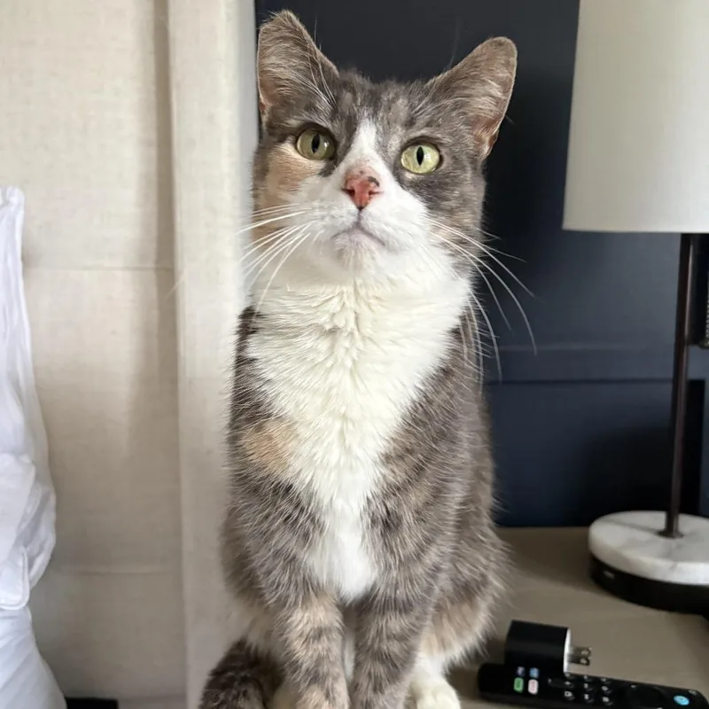 Margaret thumbnail 4