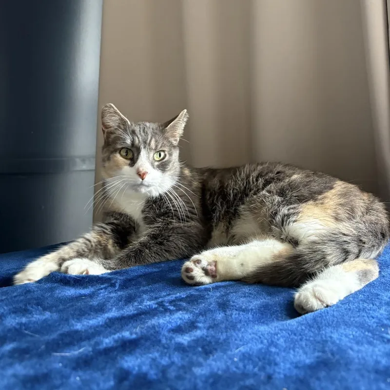 Margaret thumbnail 5