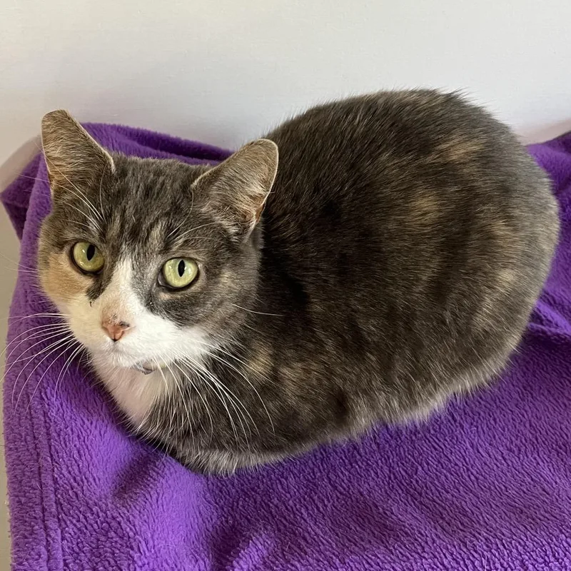 Margaret thumbnail 6