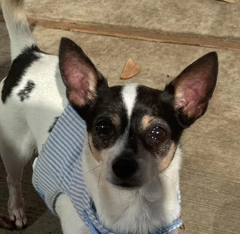 Bubbles Runslikethewind thumbnail 2