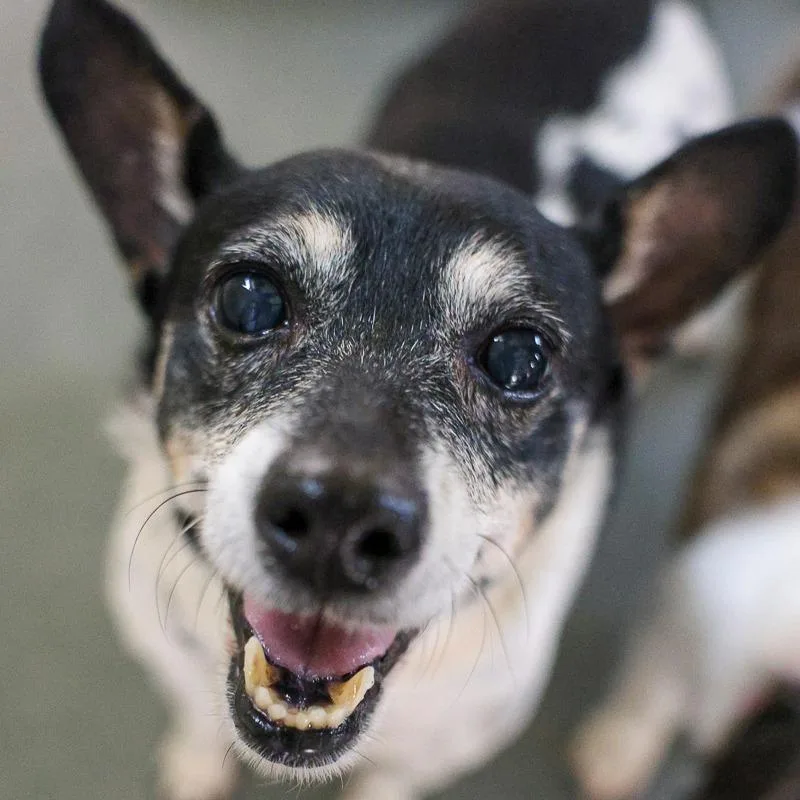 Precious thumbnail 2