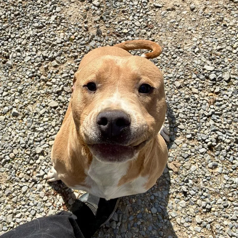 Fatboy Slim thumbnail 3