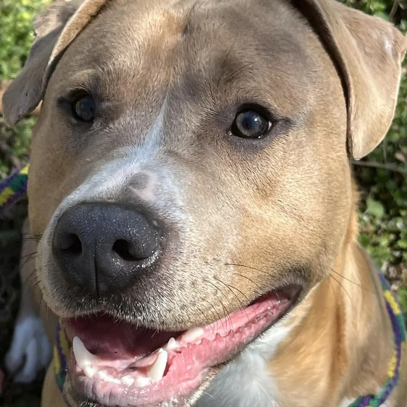 Fatboy Slim thumbnail 4